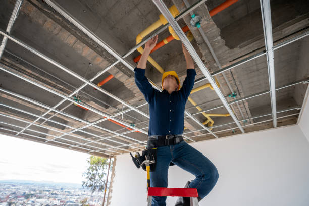 Best Clogged Drain Plumber  in Springdale, AR
