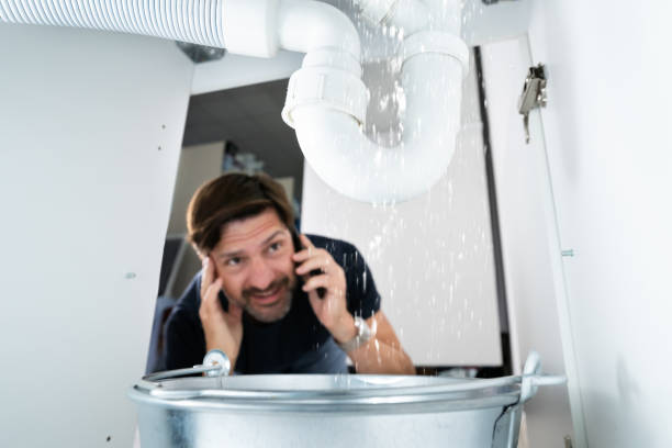 Best Plumbing Services Near Me  in Springdale, AR