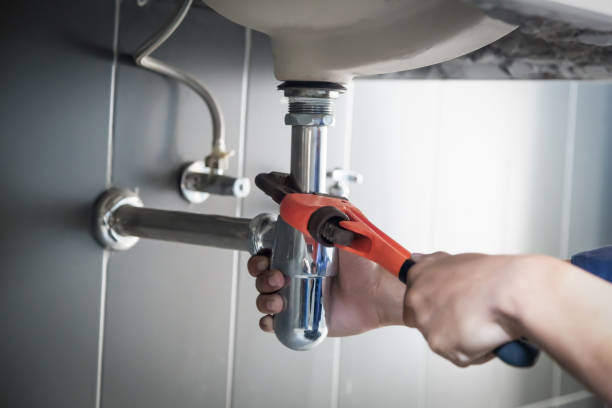 Best Local Plumber Services  in Springdale, AR